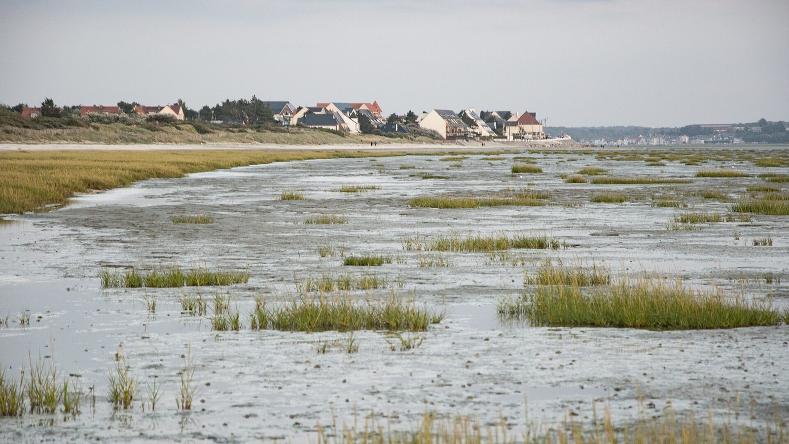 Paysage de Baie de Somme