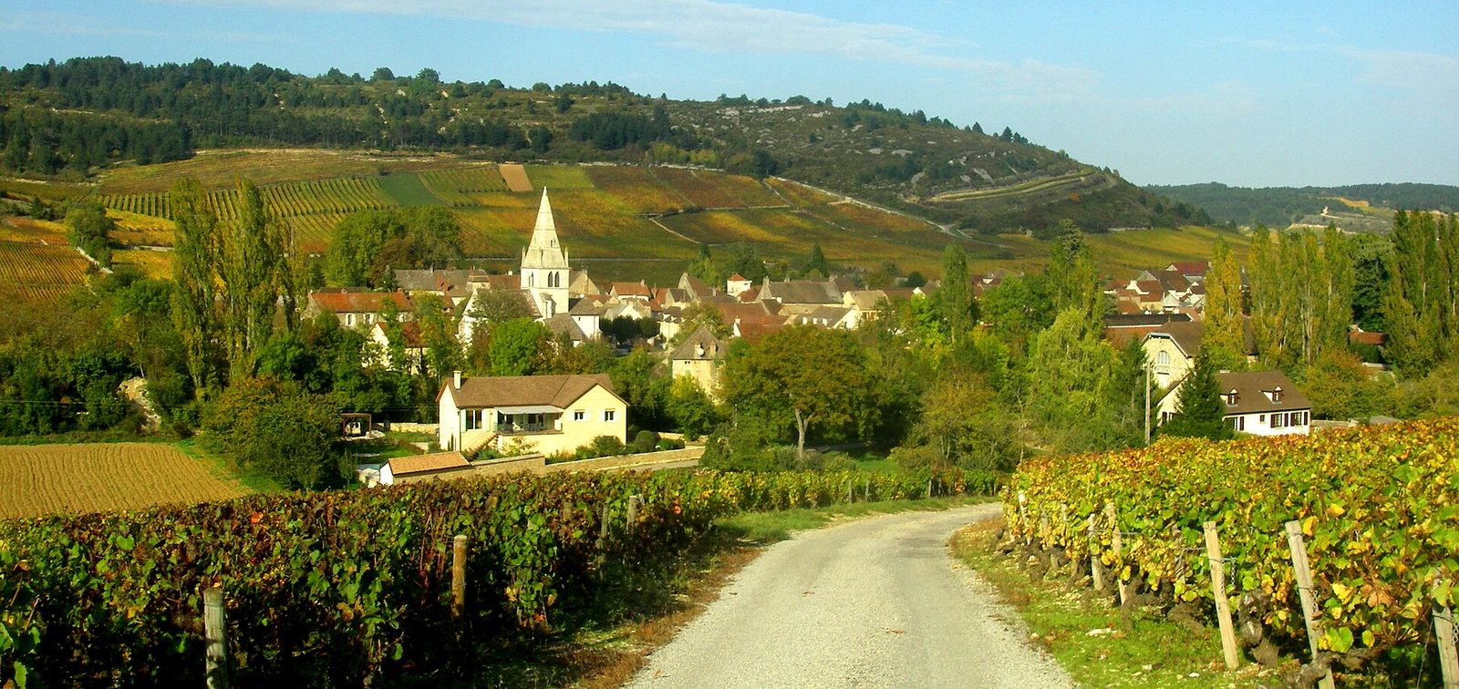 Paysage de Bourgogne