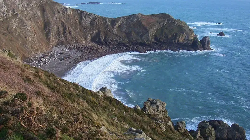 Paysage du Cotentin