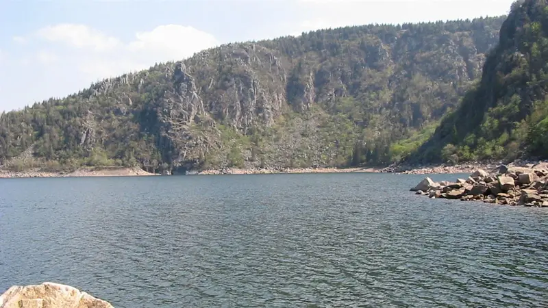 Paysage des Vosges